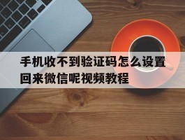 手机收不到验证码怎么设置回来微信呢视频教程的简单介绍