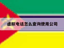 虚拟电话怎么查询使用公司