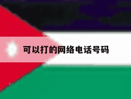 可以打的网络电话号码