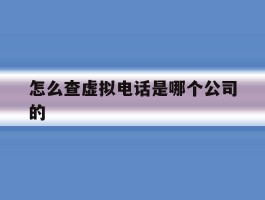 怎么查虚拟电话是哪个公司的