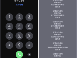 网络打电话软件免费下载安装手机号码怎么设置的简单介绍