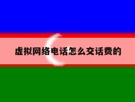 虚拟网络电话怎么交话费的