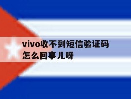 vivo收不到短信验证码怎么回事儿呀