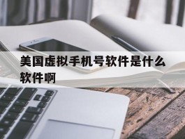 美国虚拟手机号软件是什么软件啊