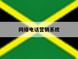 网络电话营销系统