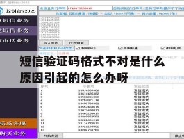 包含短信验证码格式不对是什么原因引起的怎么办呀的词条
