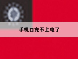 手机口充不上电了
