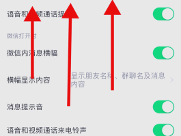 苹果有短信但是看不见号码怎么办