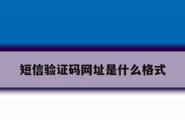 短信验证码网址是什么格式