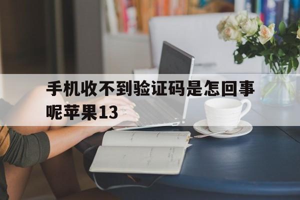 手机收不到验证码是怎回事呢苹果13 手机收不到验证码是怎回事呢苹果13