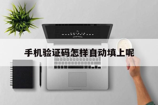 手机验证码怎样自动填上呢 手机验证码怎样自动填上呢