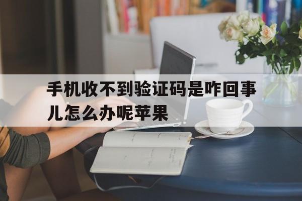 手机收不到验证码是咋回事儿怎么办呢苹果 手机收不到验证码是咋回事儿怎么办呢苹果