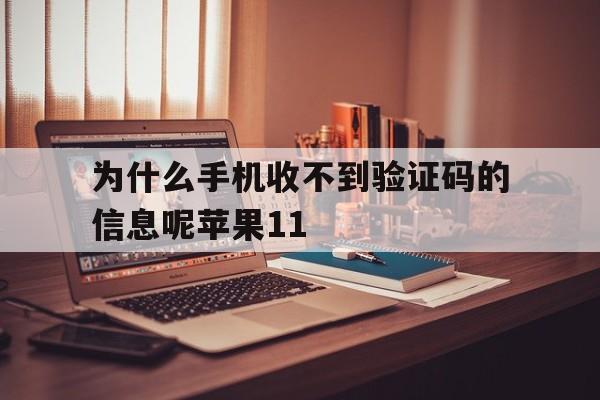 关于为什么手机收不到验证码的信息呢苹果11的信息 关于为什么手机收不到验证码的信息呢苹果11的信息