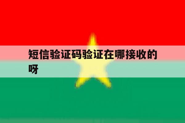 短信验证码验证在哪接收的呀 短信验证码验证在哪接收的呀