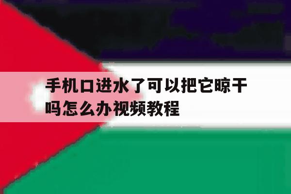 手机口进水了可以把它晾干吗怎么办视频教程 手机口进水了可以把它晾干吗怎么办视频教程