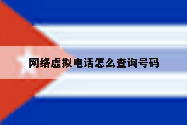网络虚拟电话怎么查询号码 网络虚拟电话怎么查询号码