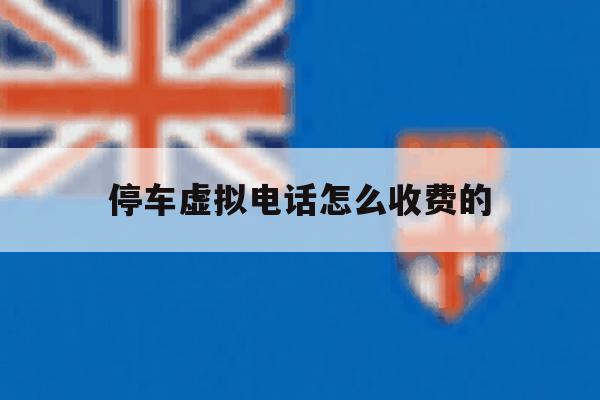 关于停车虚拟电话怎么收费的的信息 关于停车虚拟电话怎么收费的的信息