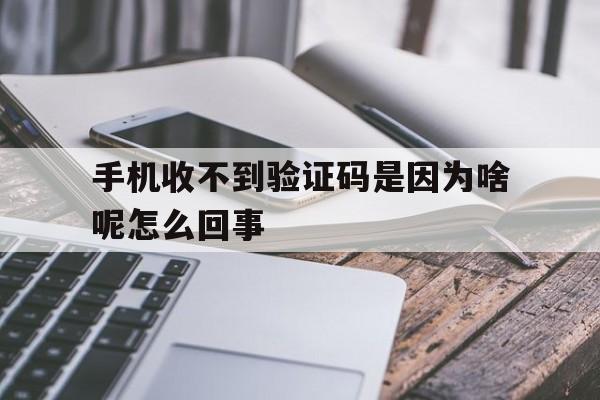 手机收不到验证码是因为啥呢怎么回事 手机收不到验证码是因为啥呢怎么回事