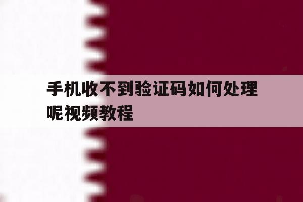手机收不到验证码如何处理呢视频教程 手机收不到验证码如何处理呢视频教程