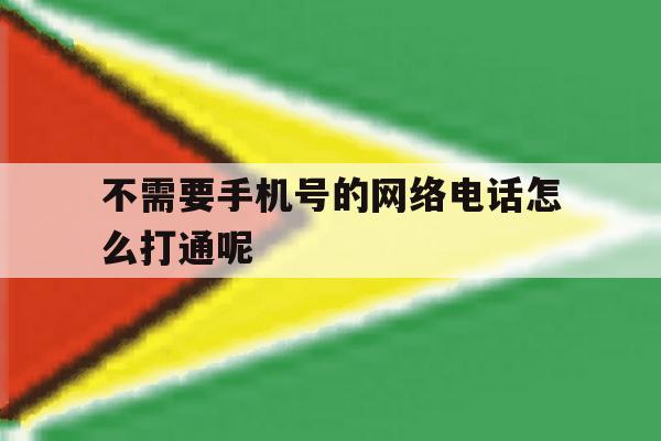 不需要手机号的网络电话怎么打通呢 不需要手机号的网络电话怎么打通呢