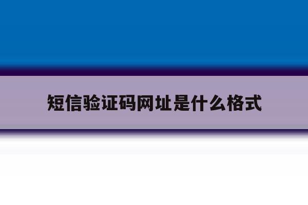 短信验证码网址是什么格式 短信验证码网址是什么格式
