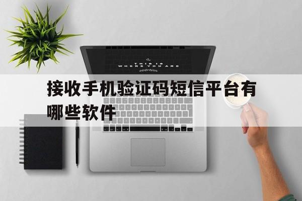 接收手机验证码短信平台有哪些软件 接收手机验证码短信平台有哪些软件